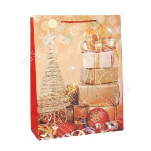 Пакет бумажный (h40х31см, дно12см) 