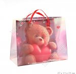 Пакет мягкий пластик (h27х21см, дно11см) 