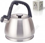 Чайник нержавеющая сталь 3,0л со свистком (6)