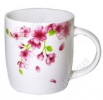 Клематис цветущий Кружка 360мл (48)