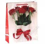 Пакет бумажный (h32х26см) 