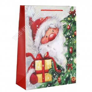 Пакет бумажный (h42х31см, дно12см) 