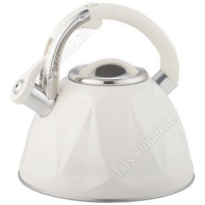 Чайник нерж 3,0л сливочн.глянец (6) 