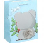 Пакет бумажный (h23х18см, дно10см) 