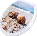 Сиденье жестк,ламинир 