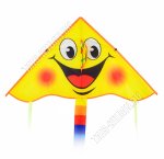 Воздушный змей