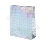 Пакет бумажный,голографический (h27х23см, дно8см) серебро (12)