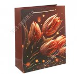 Пакет бумажный (h32х26см) 210г/м2 