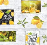 Клеенка глянец 