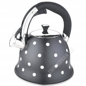 Чайник нерж 3,0л 