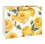 Пакет бумажный (h18х24см) 