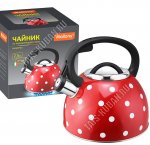 Чайник нерж 2,5л 