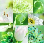 Клеенка глянец (лак) 