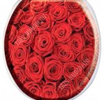 Сиденье мягкое 