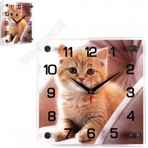 Поднос прям.(42х28 h5см) 