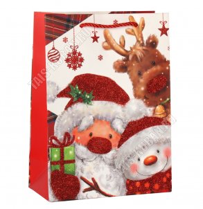 Пакет бумажный (h24х18см, дно8,5см) 