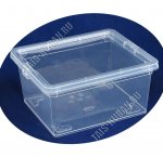 Контейнер д/хранен 10л прозр крыш-фиксатор 2 защ, прям (37х25 h14см) (8)