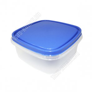 Контейнер син.крыш 2,0л квадр (17х17 h8,5см) (28) 