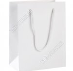 Пакет бумажный (h18х14см) 