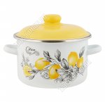 Цитрон/Citron Кастрюля 5,5л d22см (2)