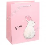 Пакет бумажный (h23х18см, дно10см) 