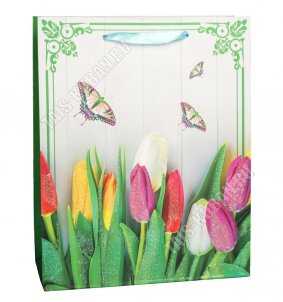 Пакет бумажный (h24х18см) 210г/м2 