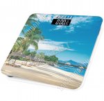 Весы напольные эл.до 180кг,дел 100г, пит.бат.в компл.