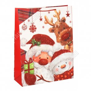 Пакет бумажный (h32х26см, дно10см) 