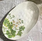 Флора Блюдо набор 2шт овал 25х15см п/у (12)