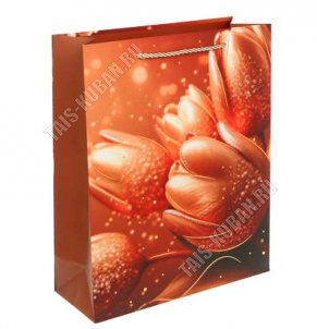 Пакет бумажный (h32х26см) 210г/м2 