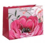 Пакет бумажный (h18х23см) 210г/м2 